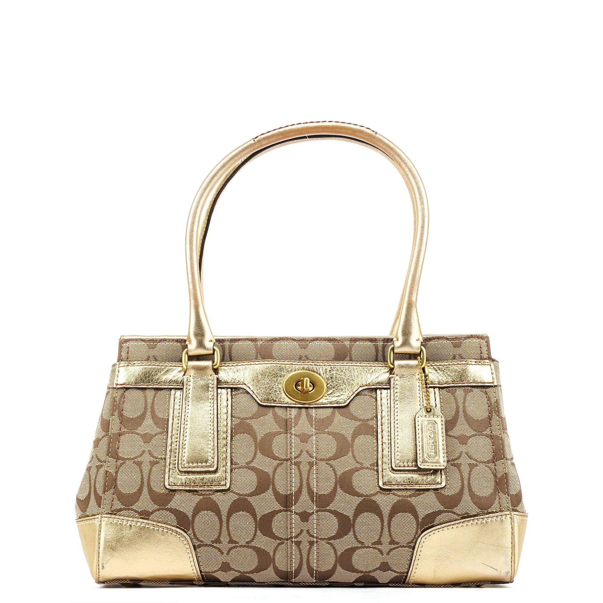 Tabby leather bag