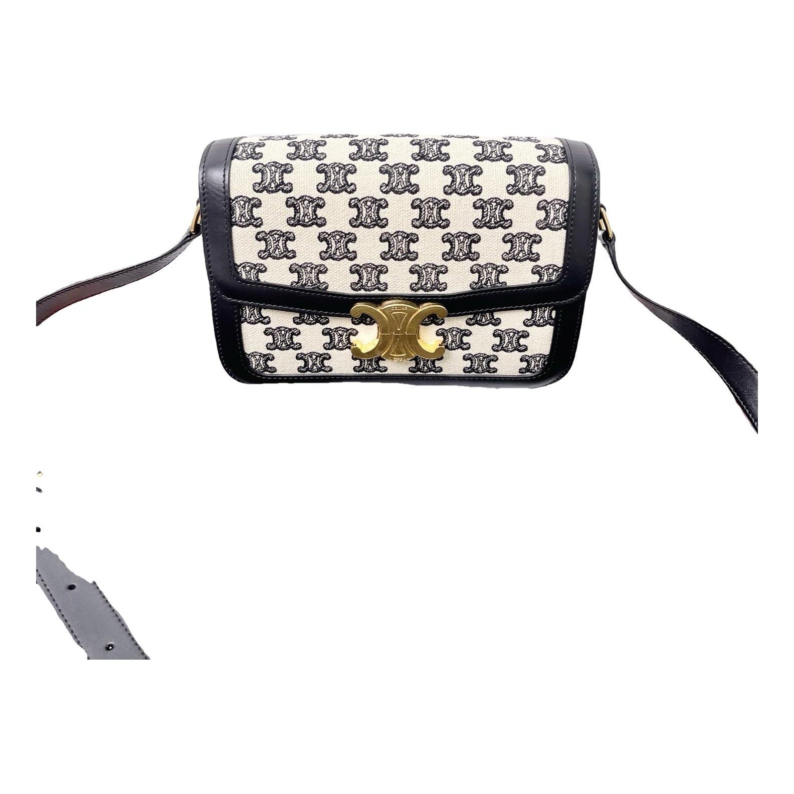Triomphe Long leather handbag