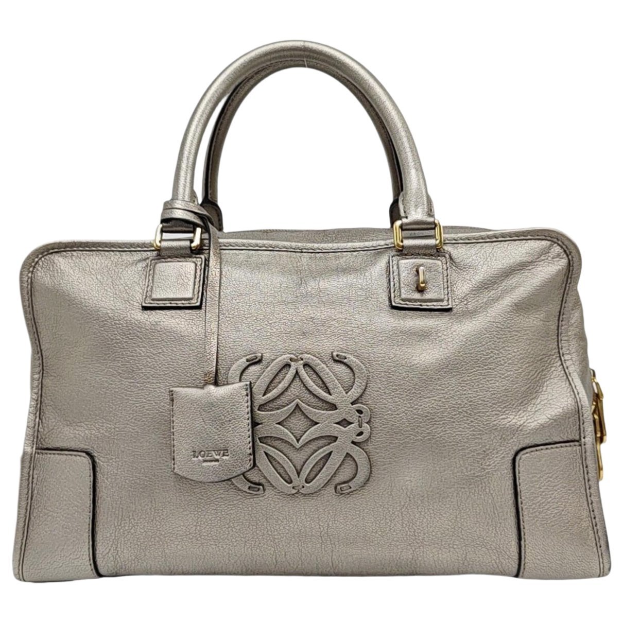 Amazona leather handbag