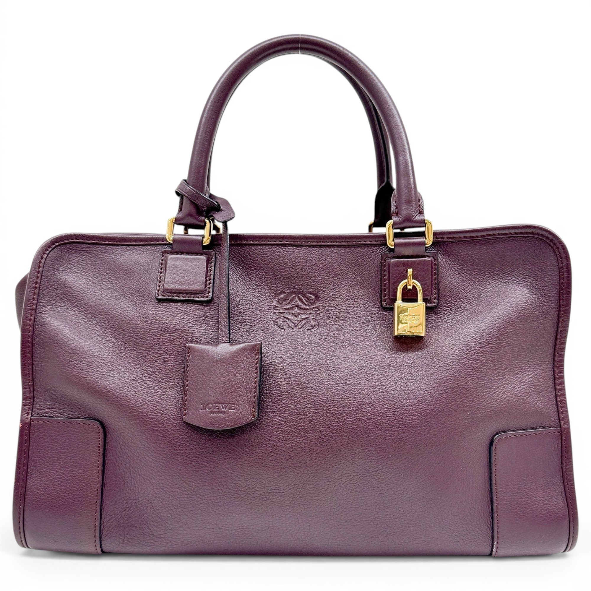 Amazona leather handbag