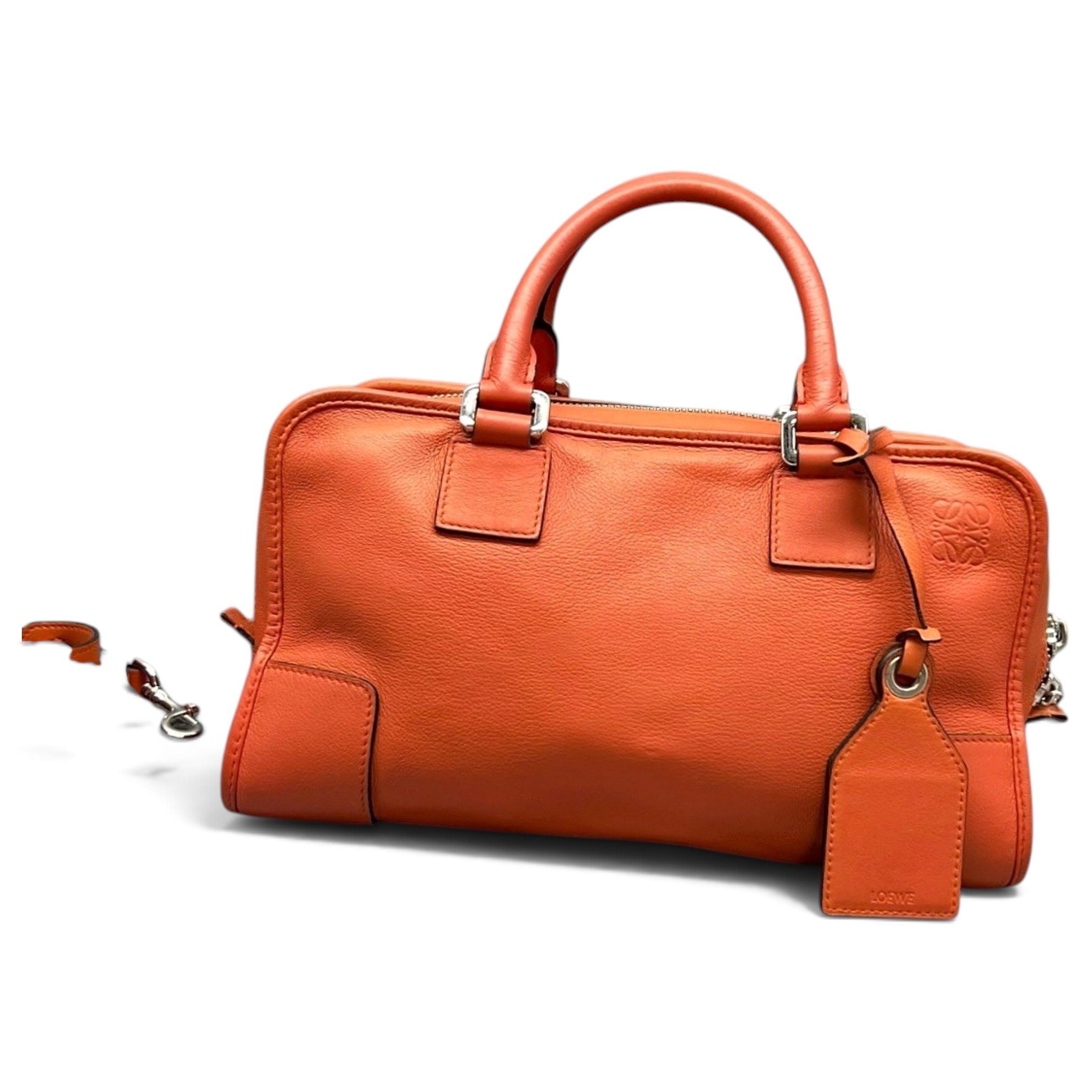 Amazona leather handbag