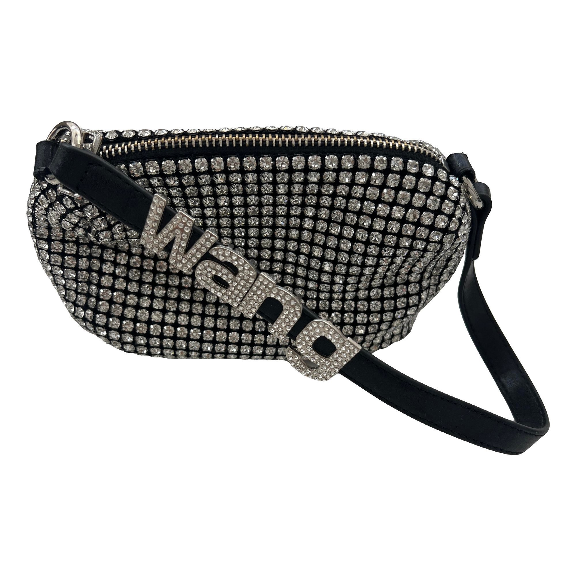 Alexander Wang Glitter bag