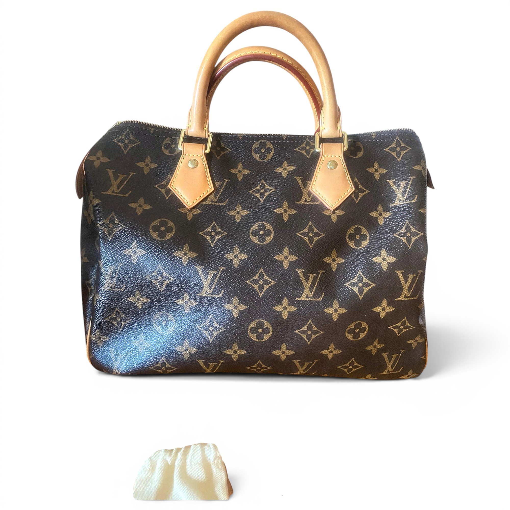 Louis Vuitton Speedy cloth handbag