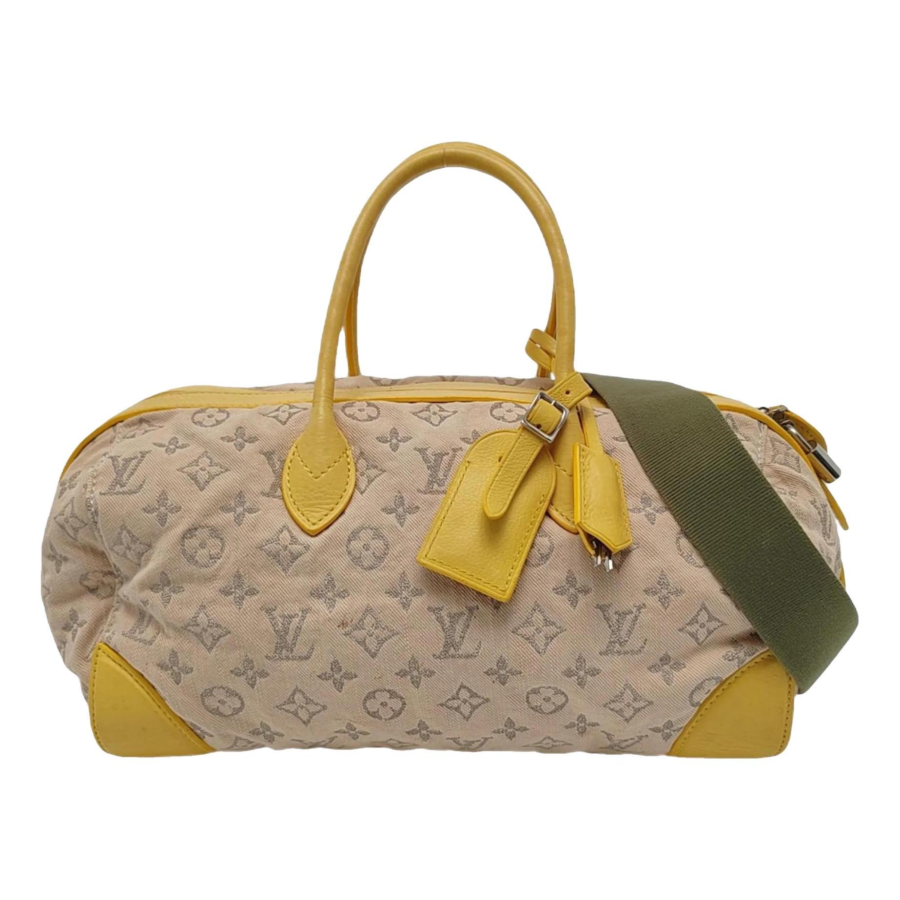 Louis Vuitton Leather bag