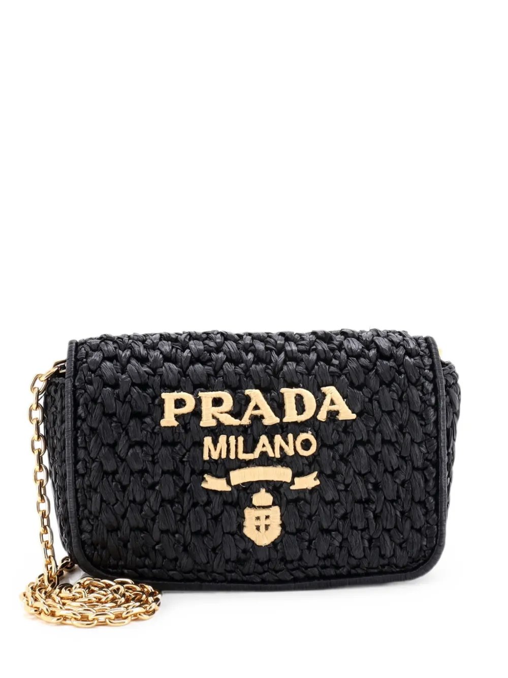 Logo Chain Flap Raffia Mini shoulder bag