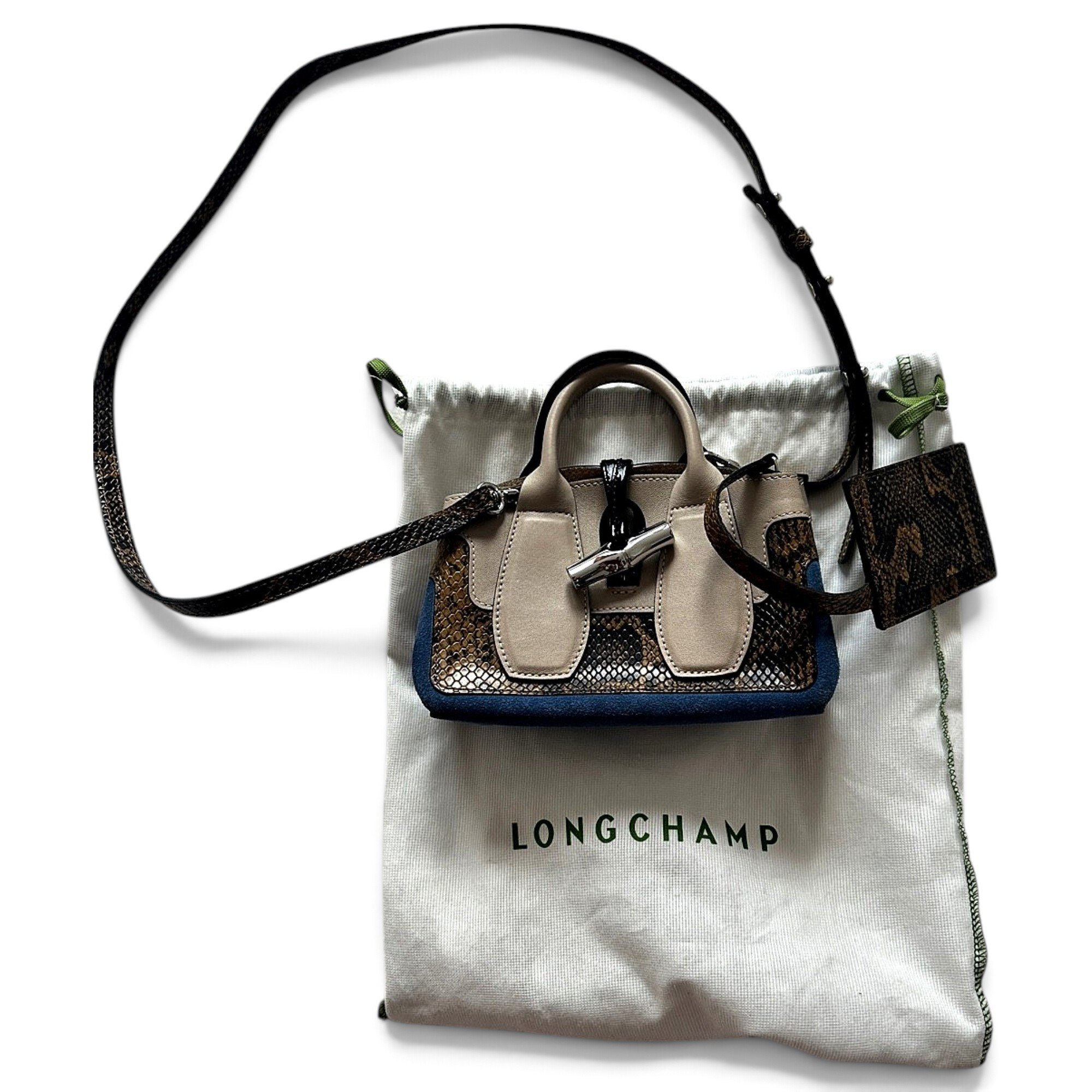 Roseau leather mini bag