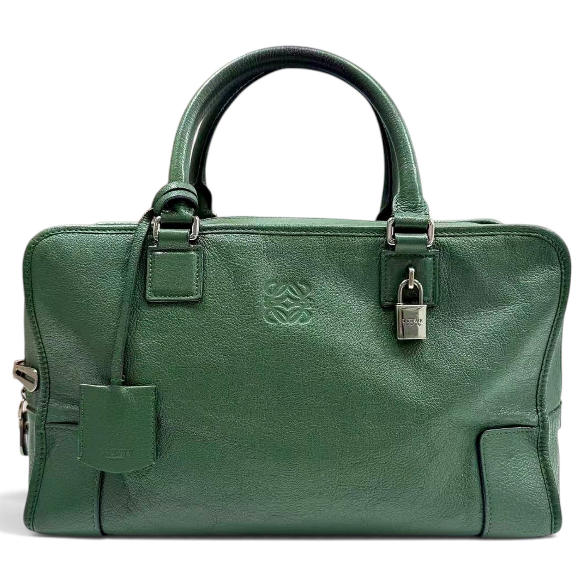 Amazona leather handbag