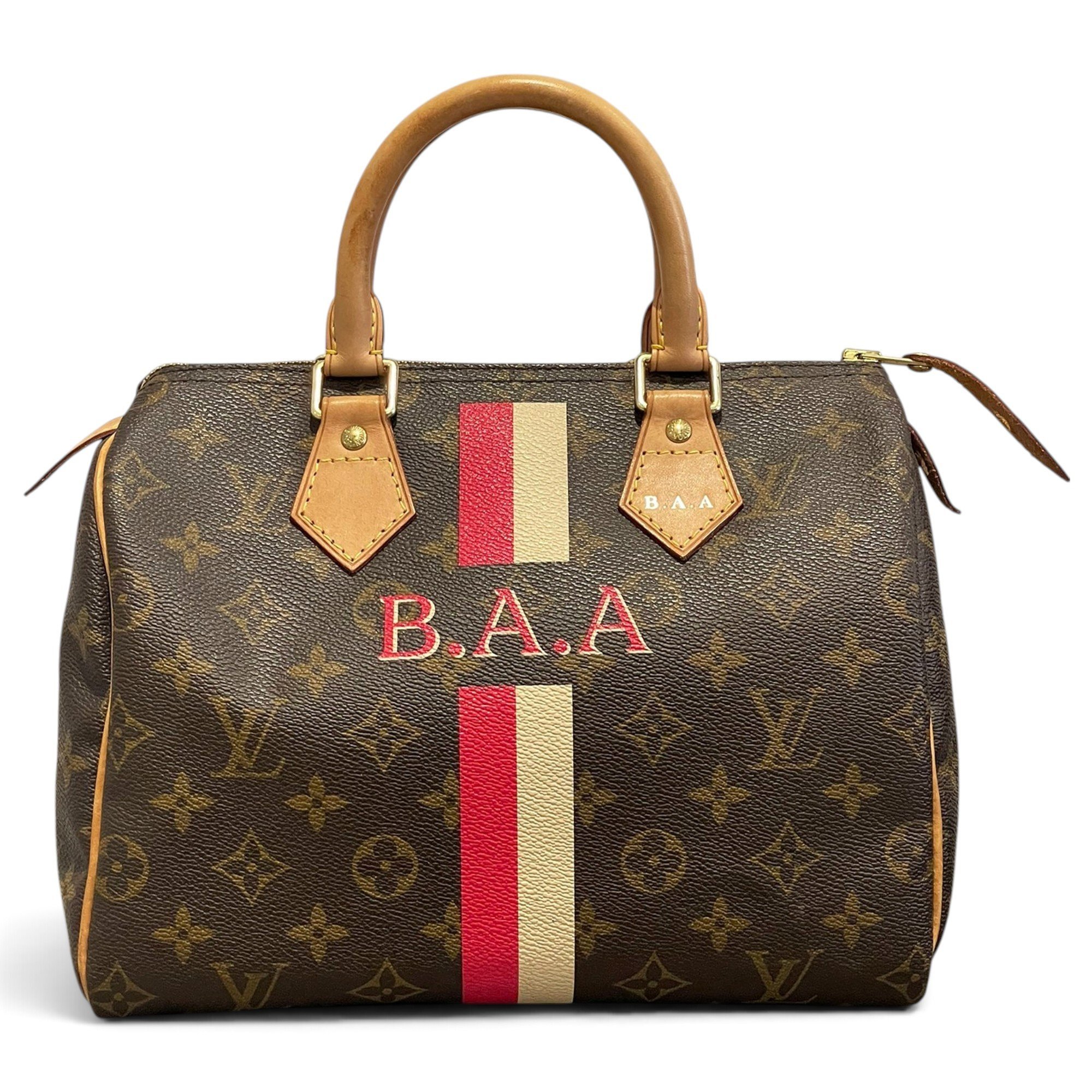 Louis Vuitton Speedy cloth handbag