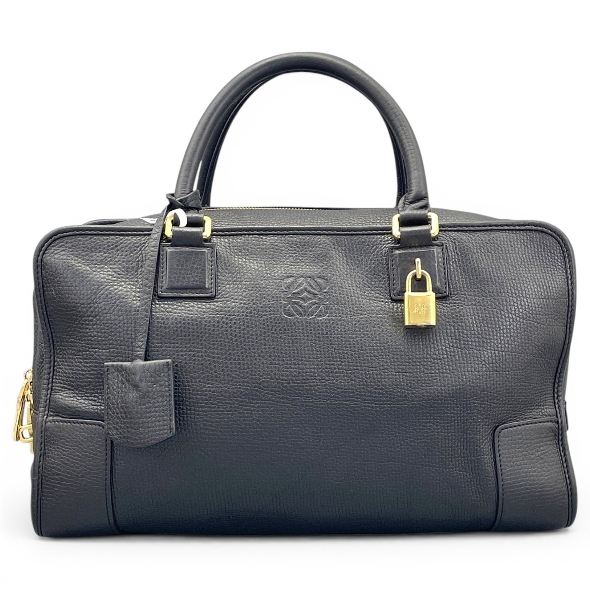Amazona leather handbag