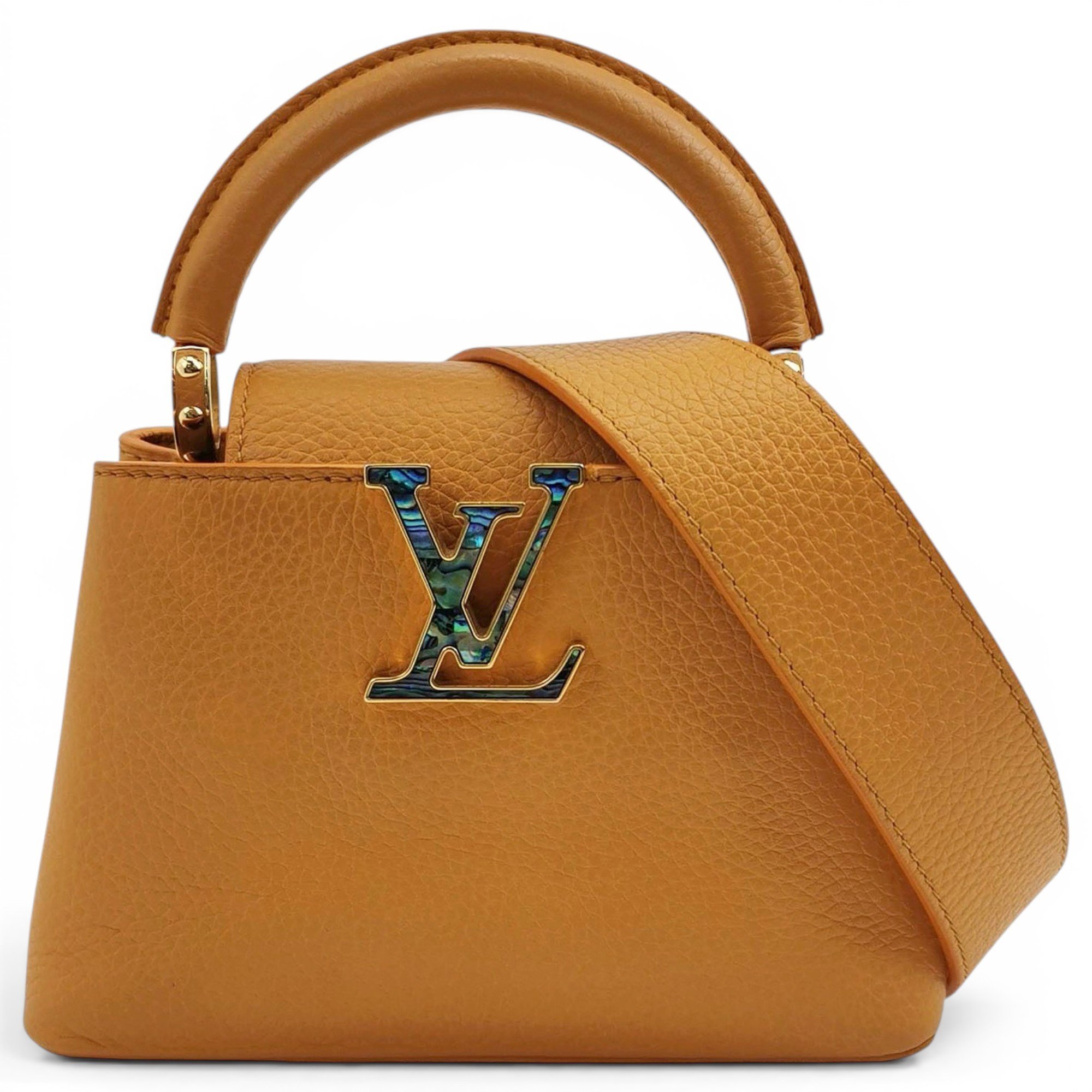 Capucines leather handbag