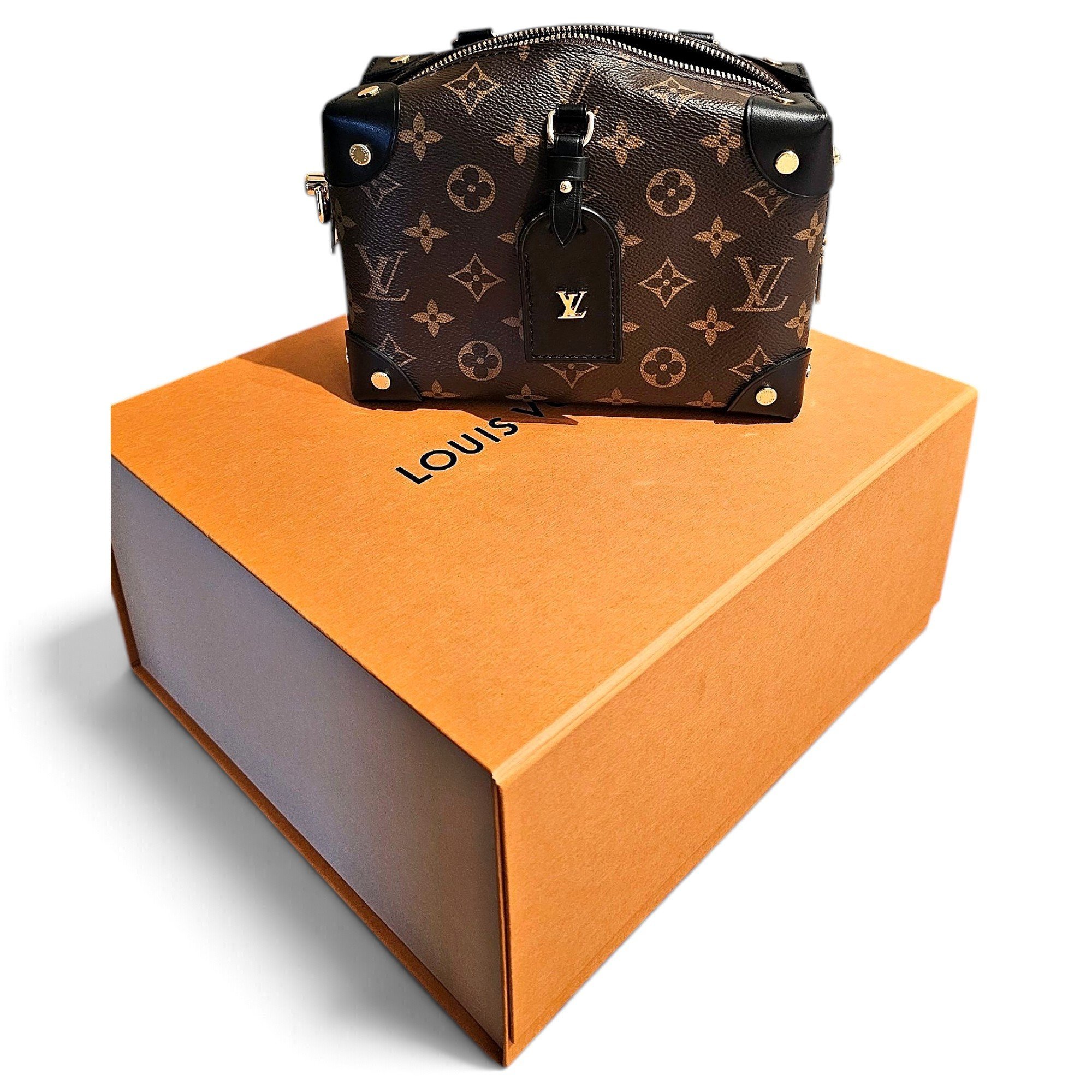 Petite Malle Souple leather crossbody bag