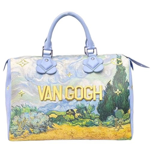 Speedy leather handbag