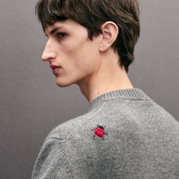 Flanelle "Broderie Coccinelle" Crewneck Cashmere Sweater