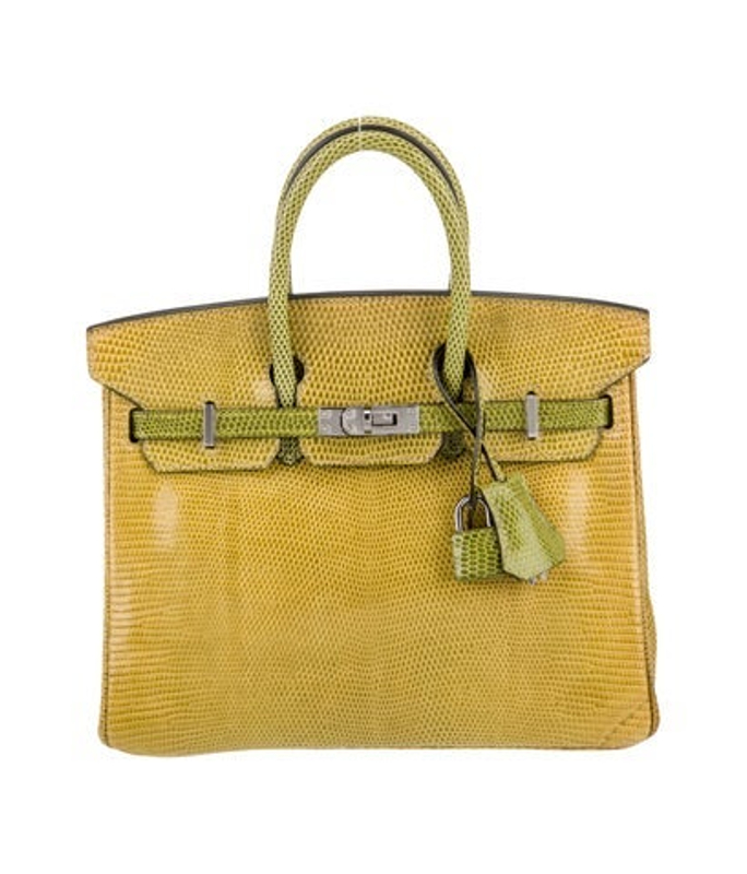 Hermes Varanus Niloticus Lizard Birkin 25