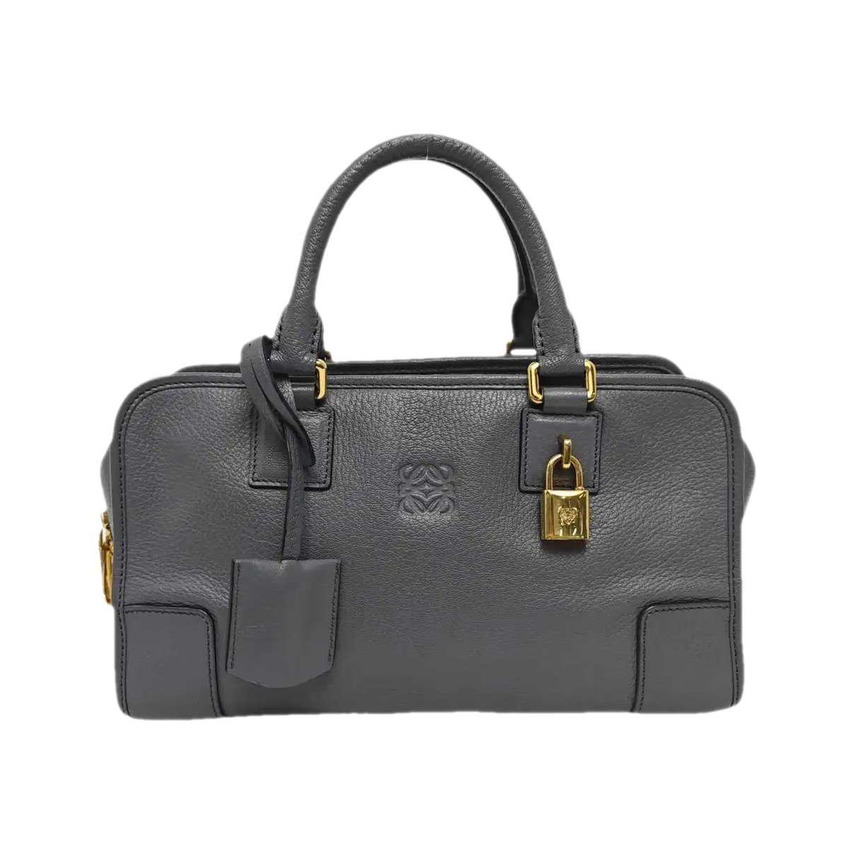 Amazona leather handbag