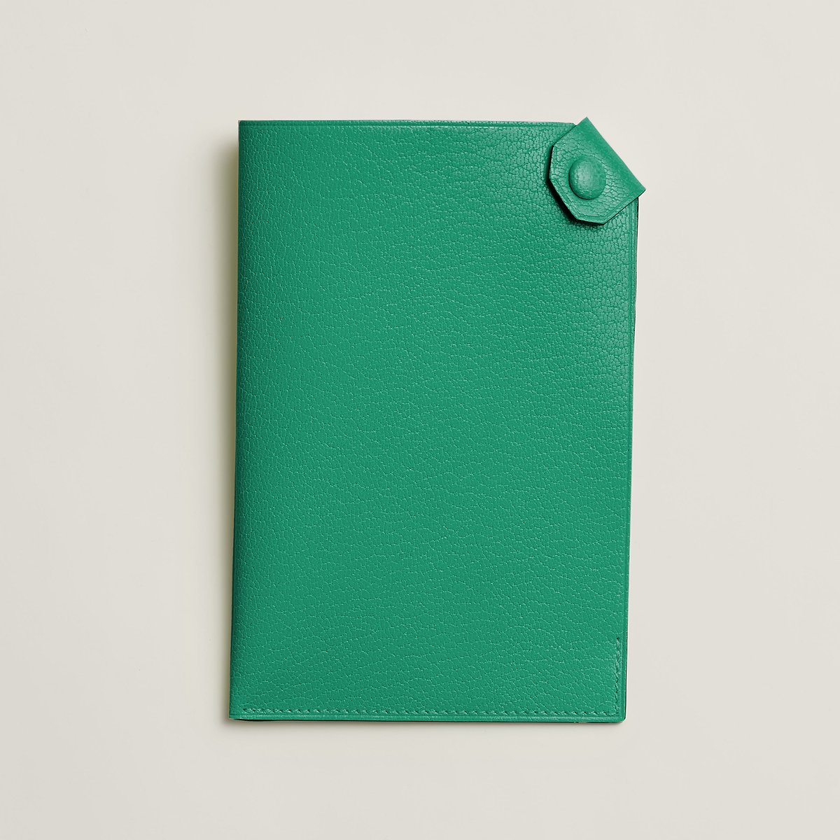 Menthe Tarmac Passport Holder