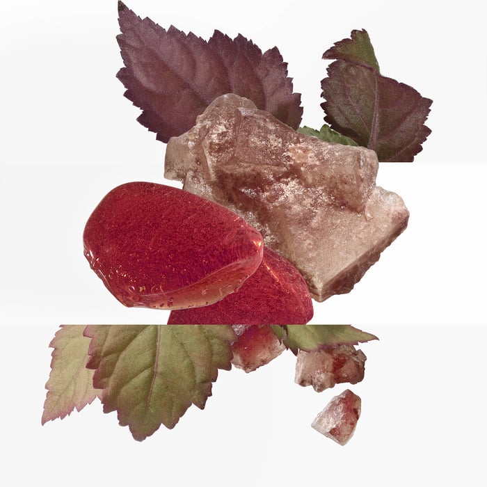 Sans Coloris l'Ambre Des Merveilles Eau De Parfum