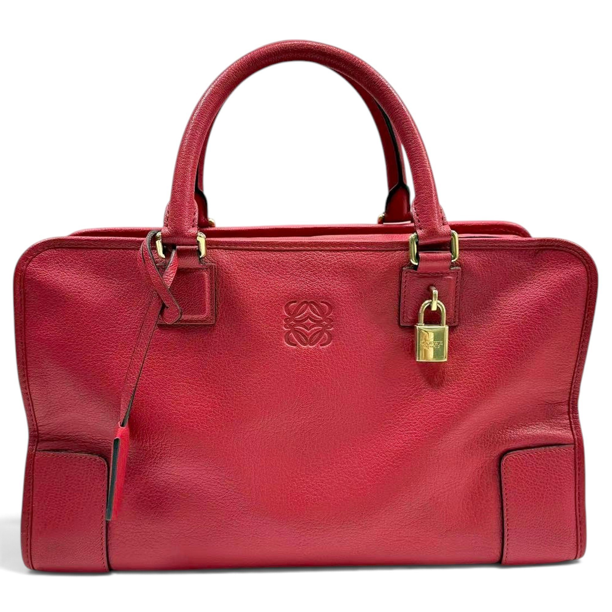 Amazona leather handbag