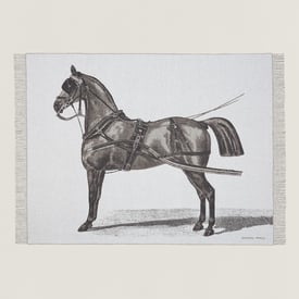 Cheval d'Attelage blanket