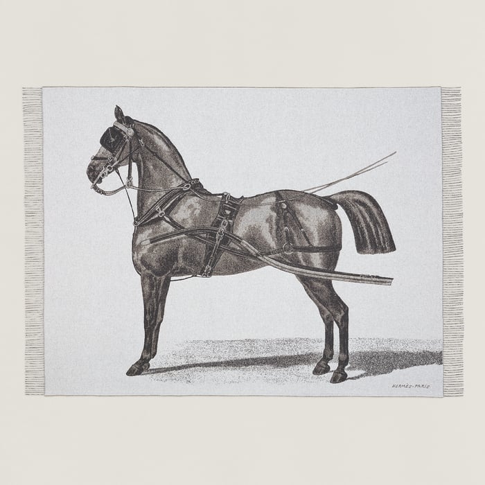 Carbone Cheval d'Attelage Blanket