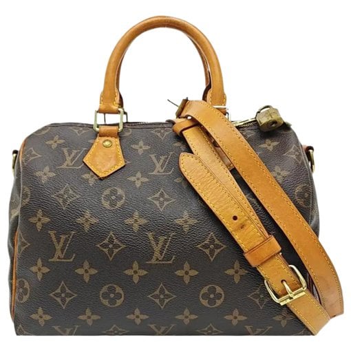 Louis Vuitton Nano Speedy / Mini HL leather handbag