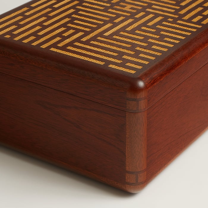 Sésame Casaque H En Dedale Lezard Watch Box
