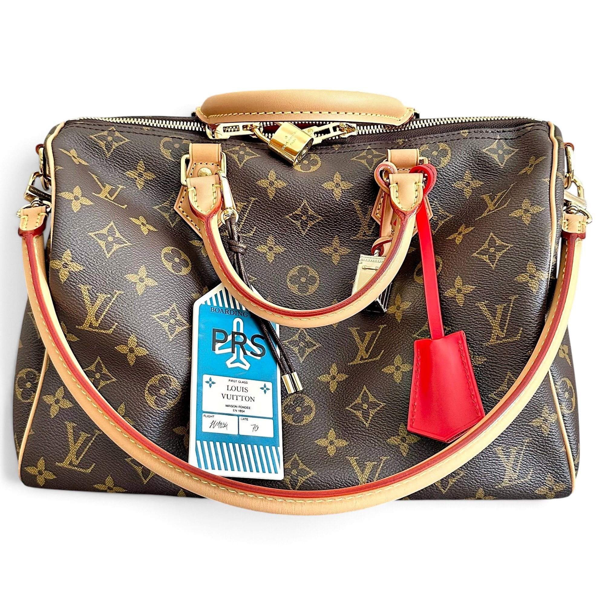 Louis Vuitton Speedy cloth handbag