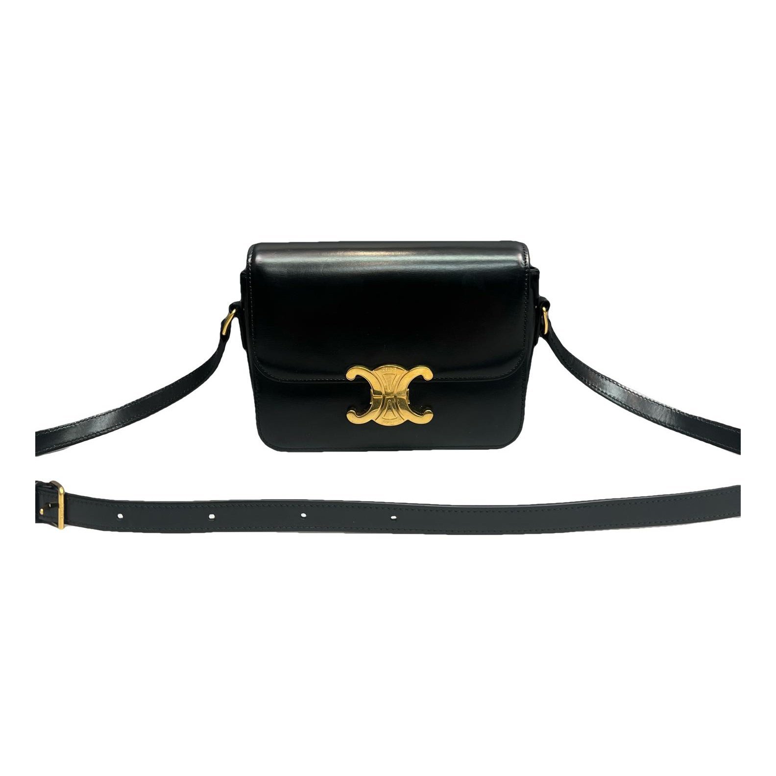 Triomphe leather handbag