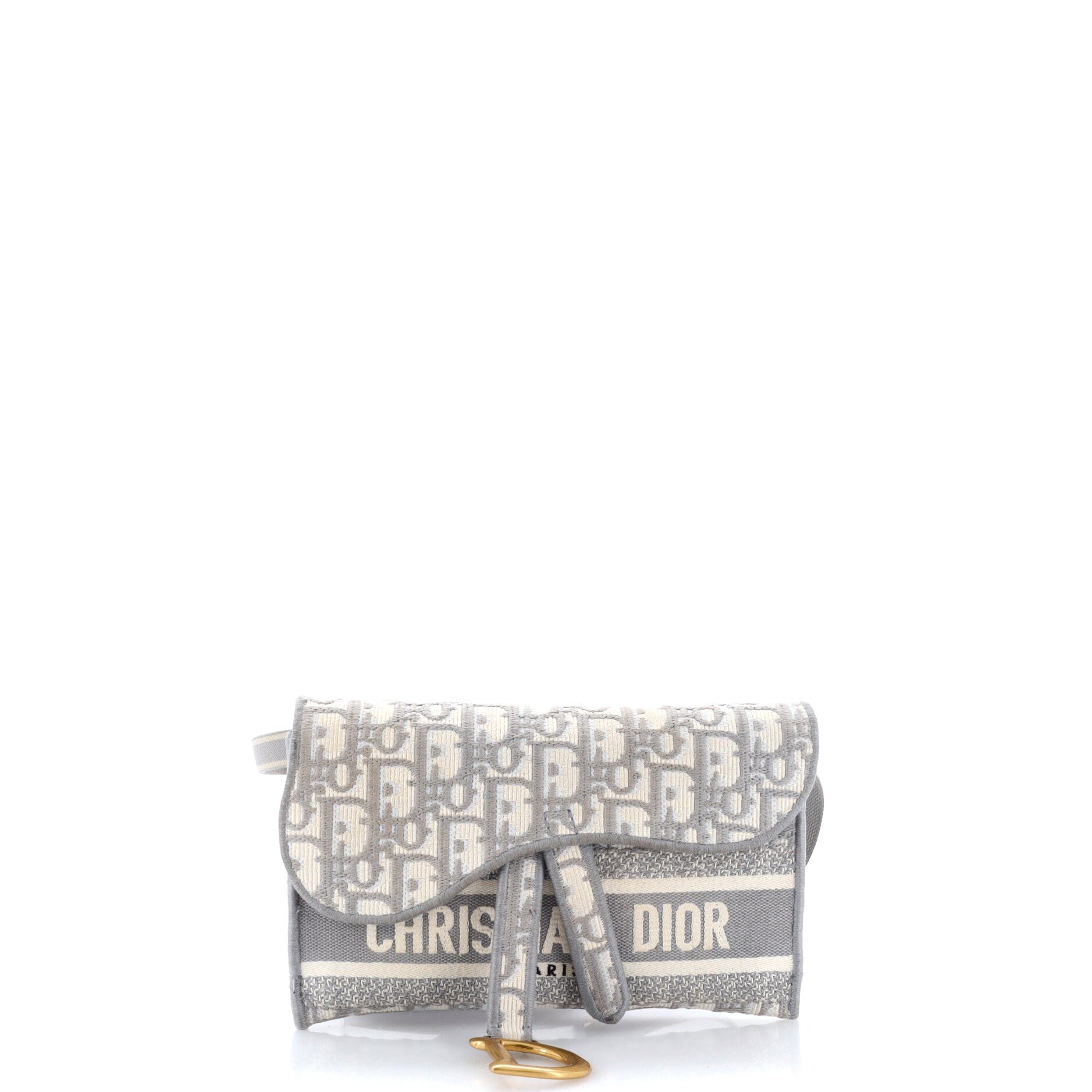Saddle Slim Belt Pouch Logo Embroidered Oblique Canvas
