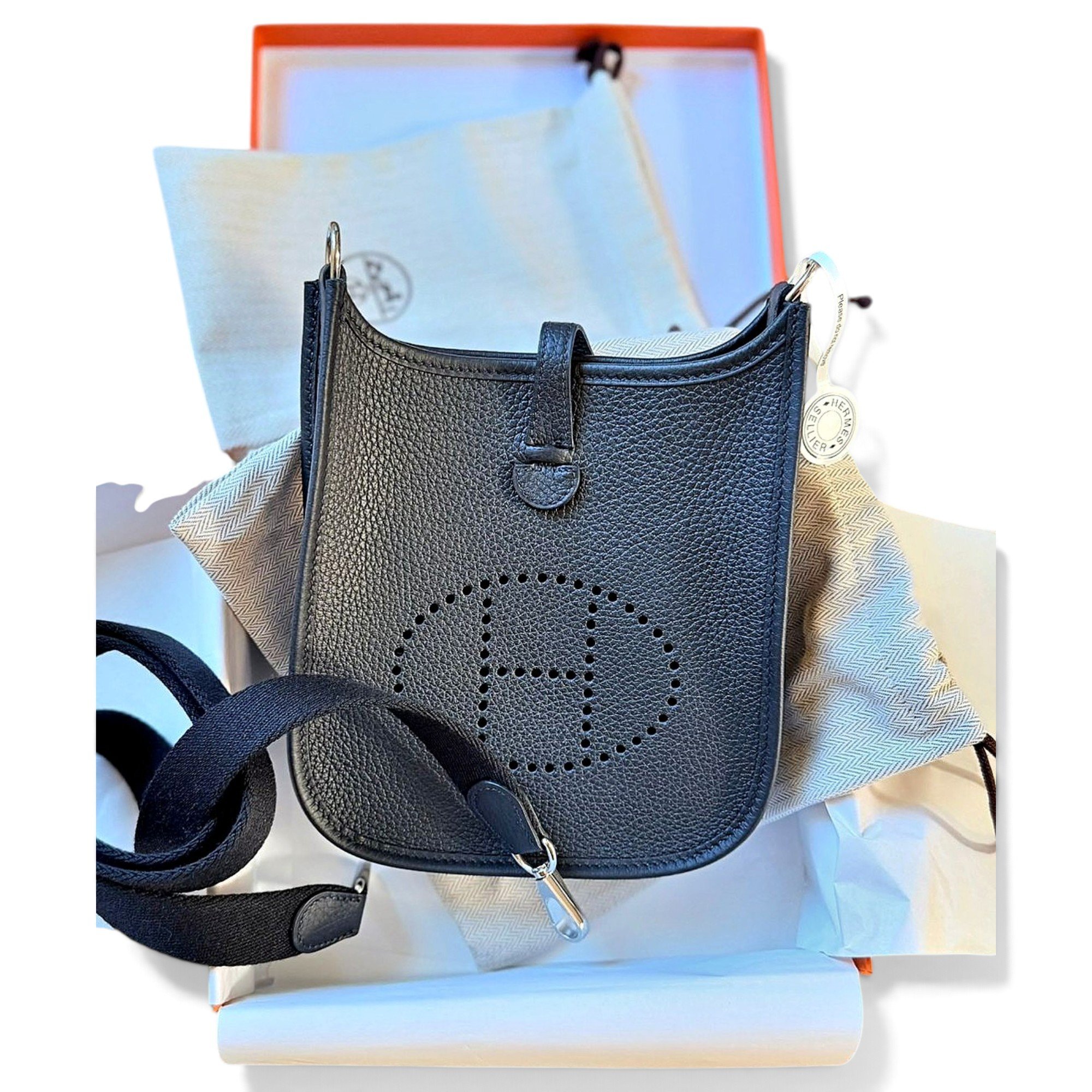 Mini Evelyne leather crossbody bag