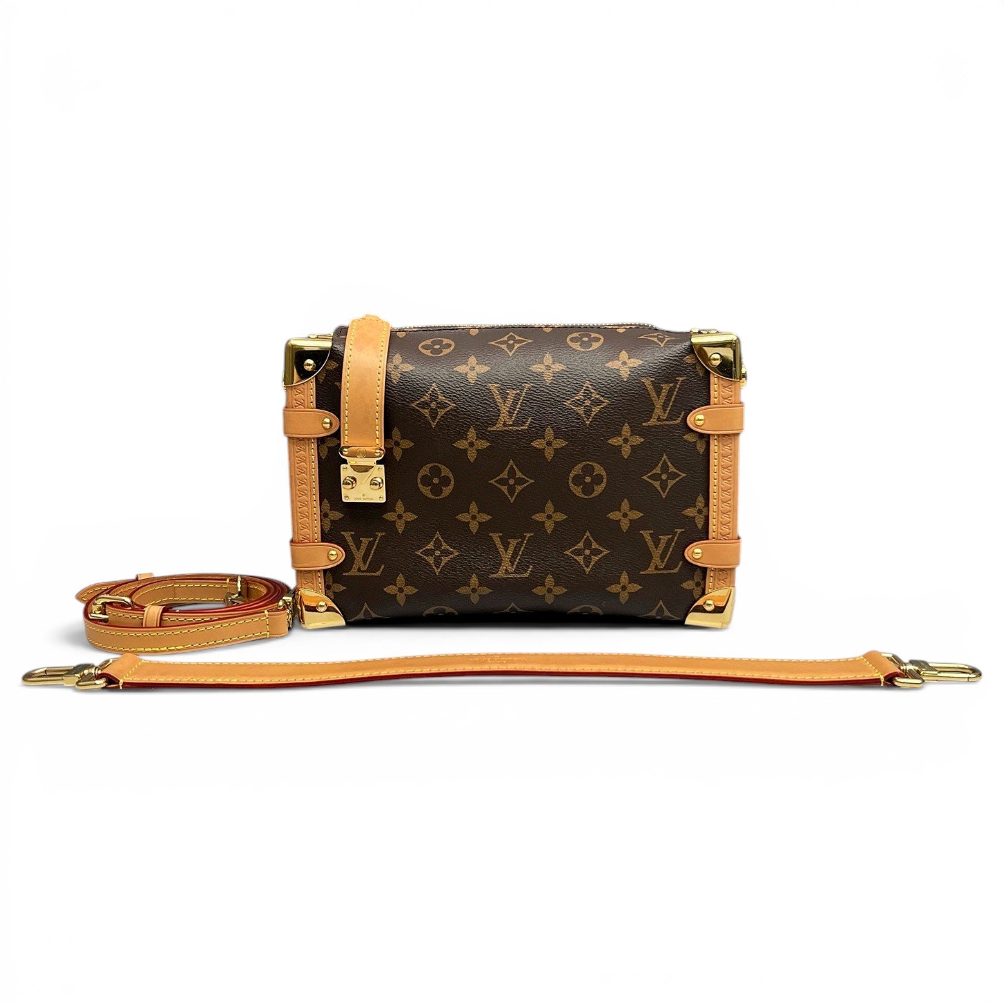 Petite Malle leather crossbody bag
