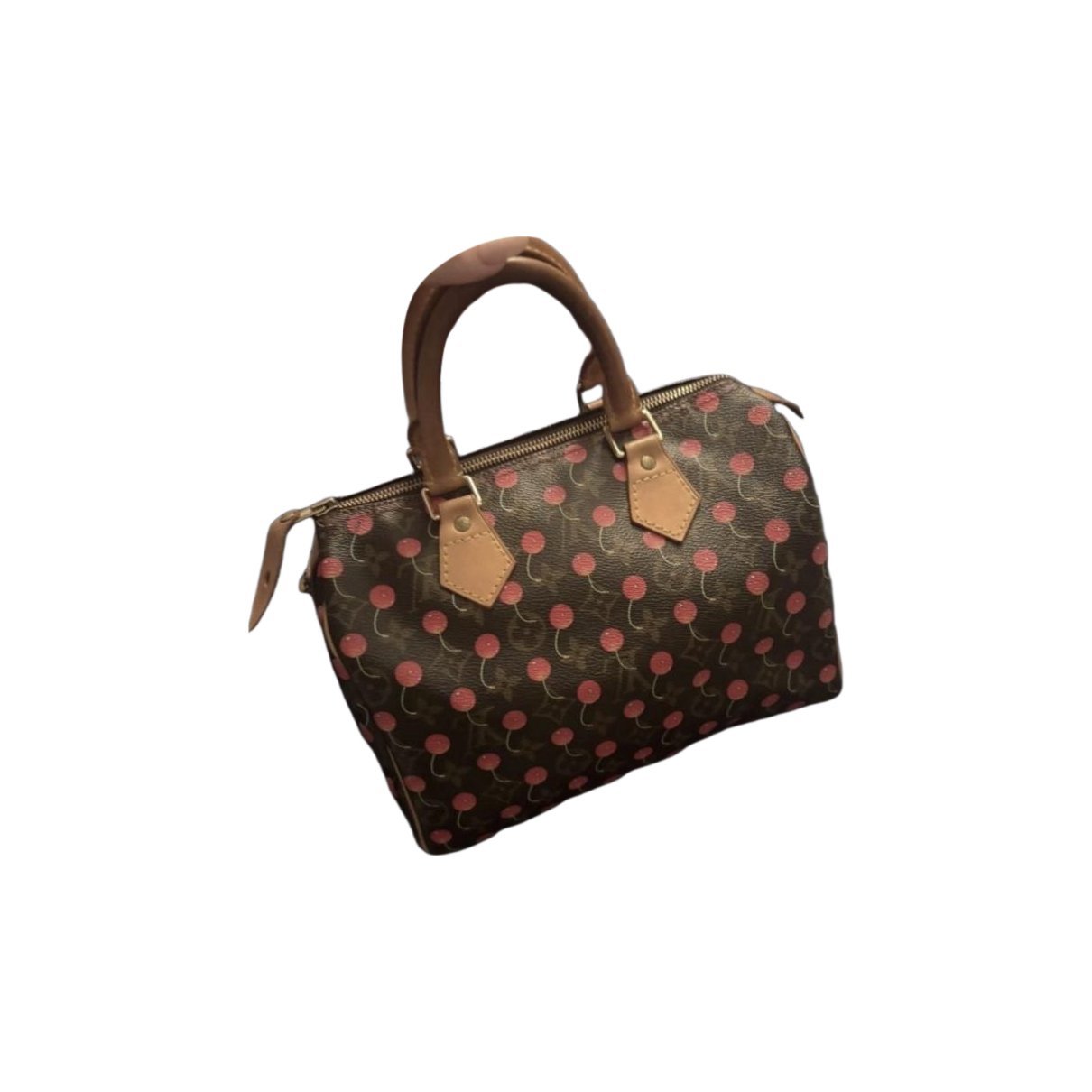 Louis Vuitton Speedy leather handbag