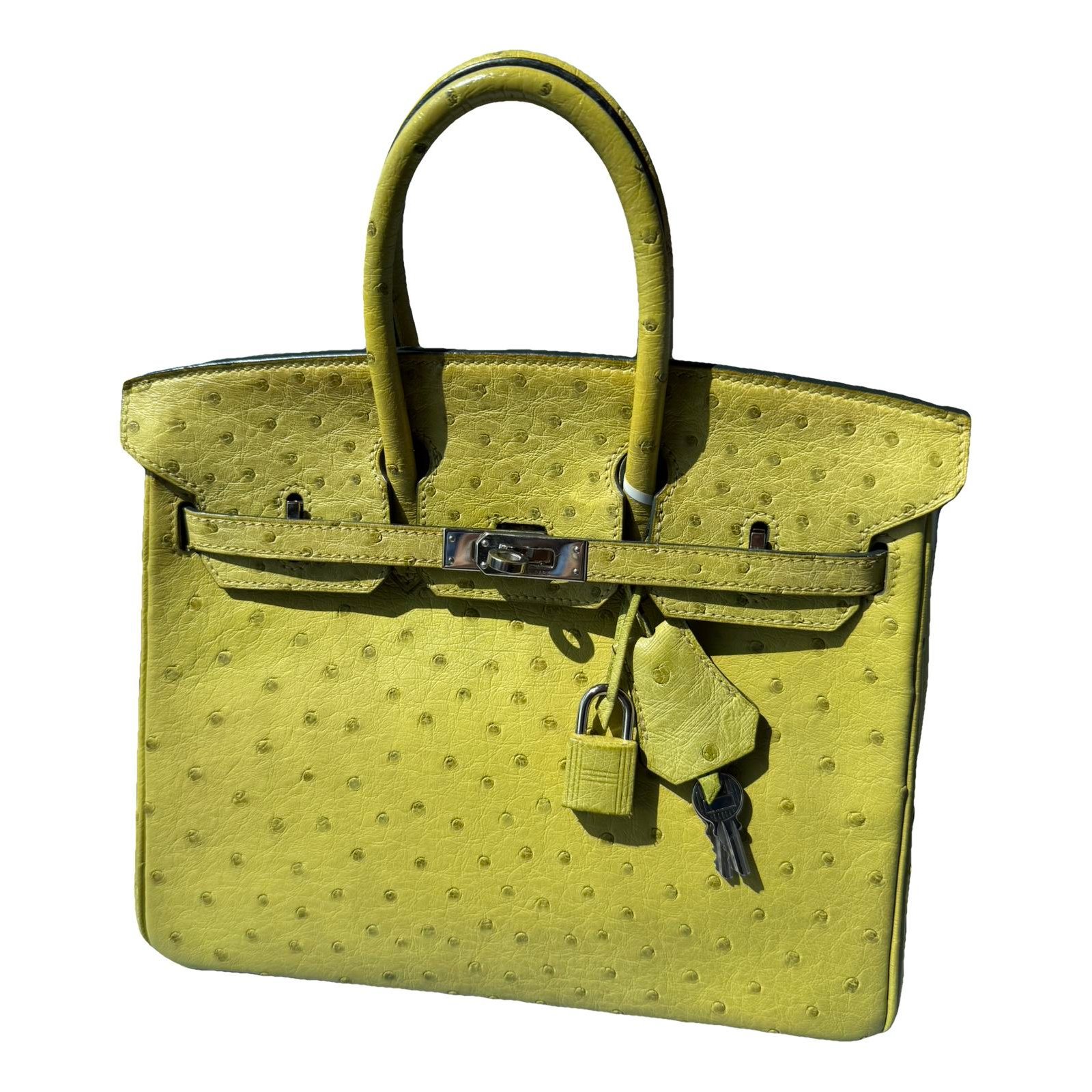 Birkin 25 leather handbag