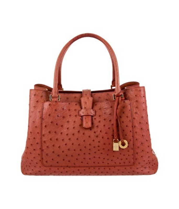 Loro Piana Piana Ostrich Top Handle Bag