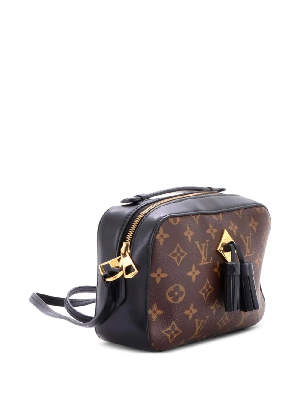 Saintonge Handbag Monogram Canvas with Leather crossbody bag