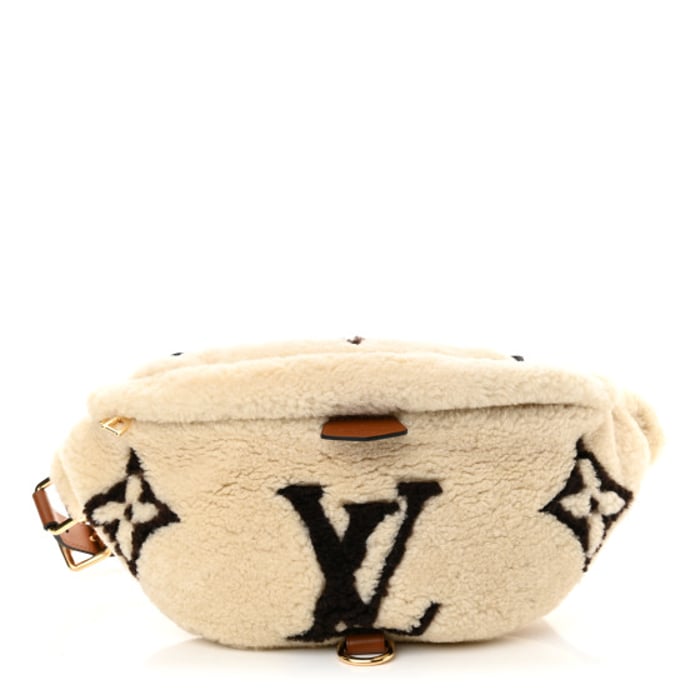 Louis Vuitton Monogram Teddy Bumbag