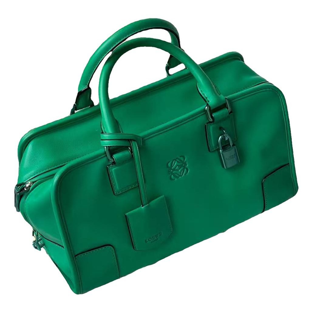 Amazona leather handbag