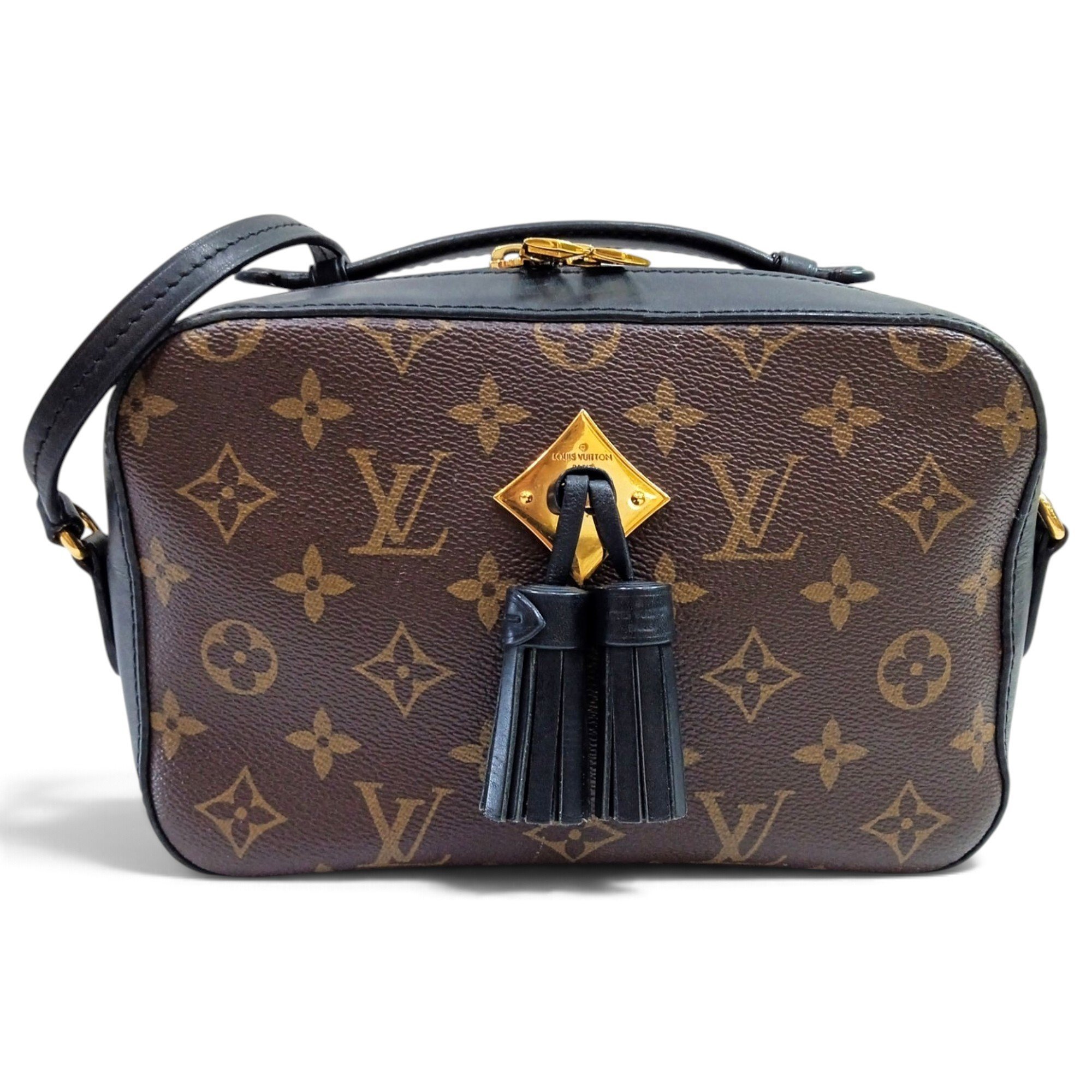 Saintonge leather crossbody bag