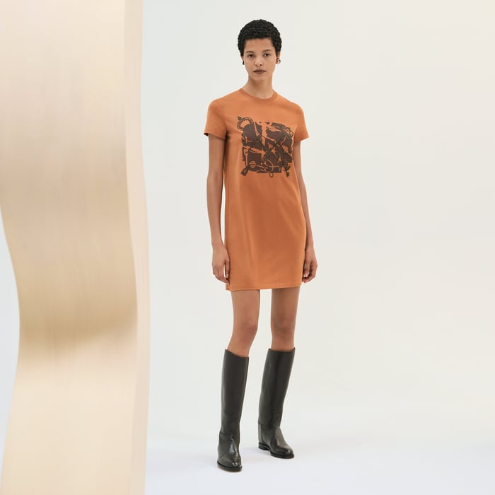 Marron Alezan Straight Dress