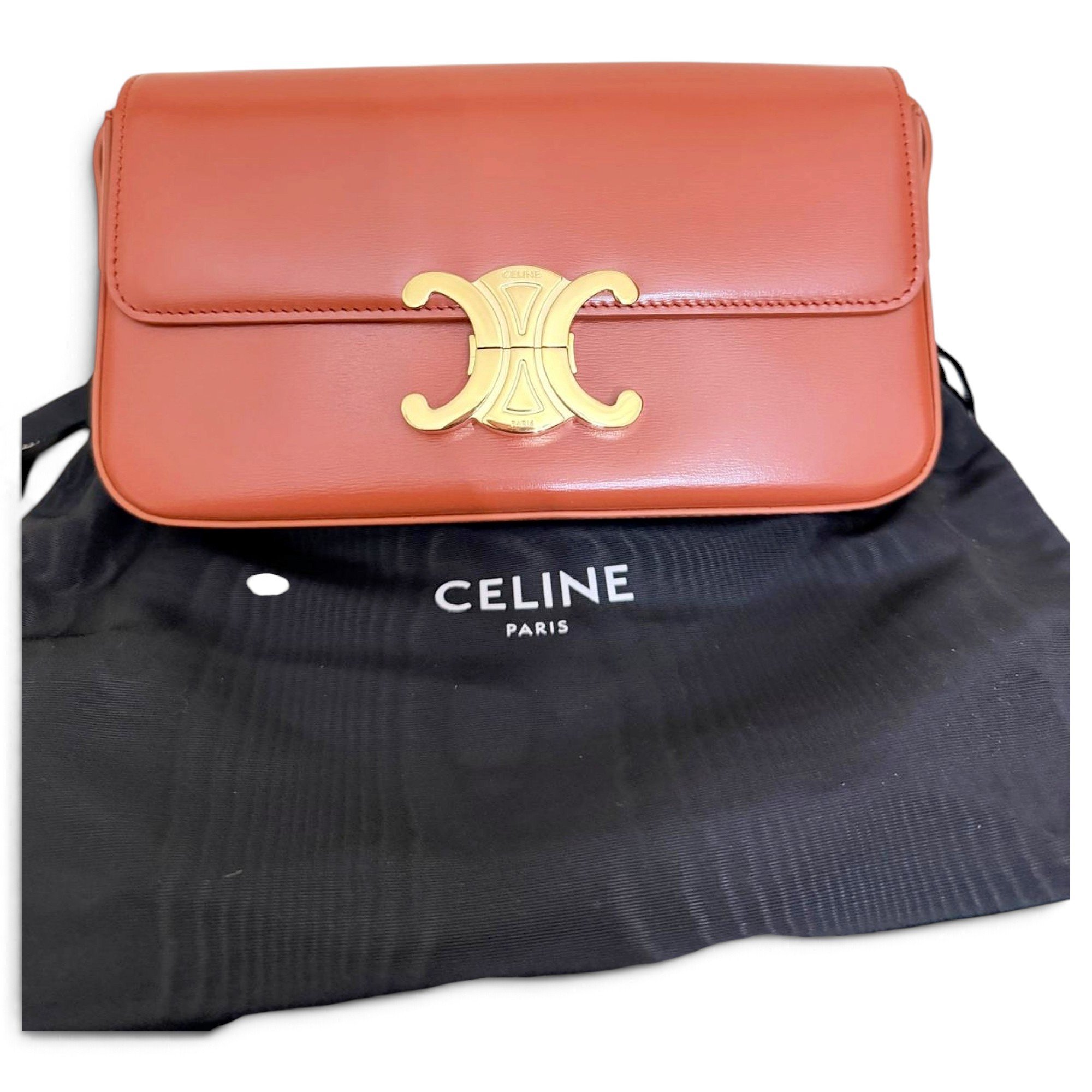 Triomphe Long leather handbag