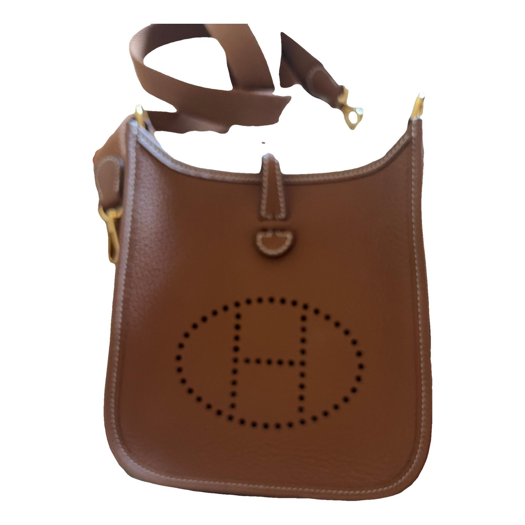 Mini Evelyne leather crossbody bag