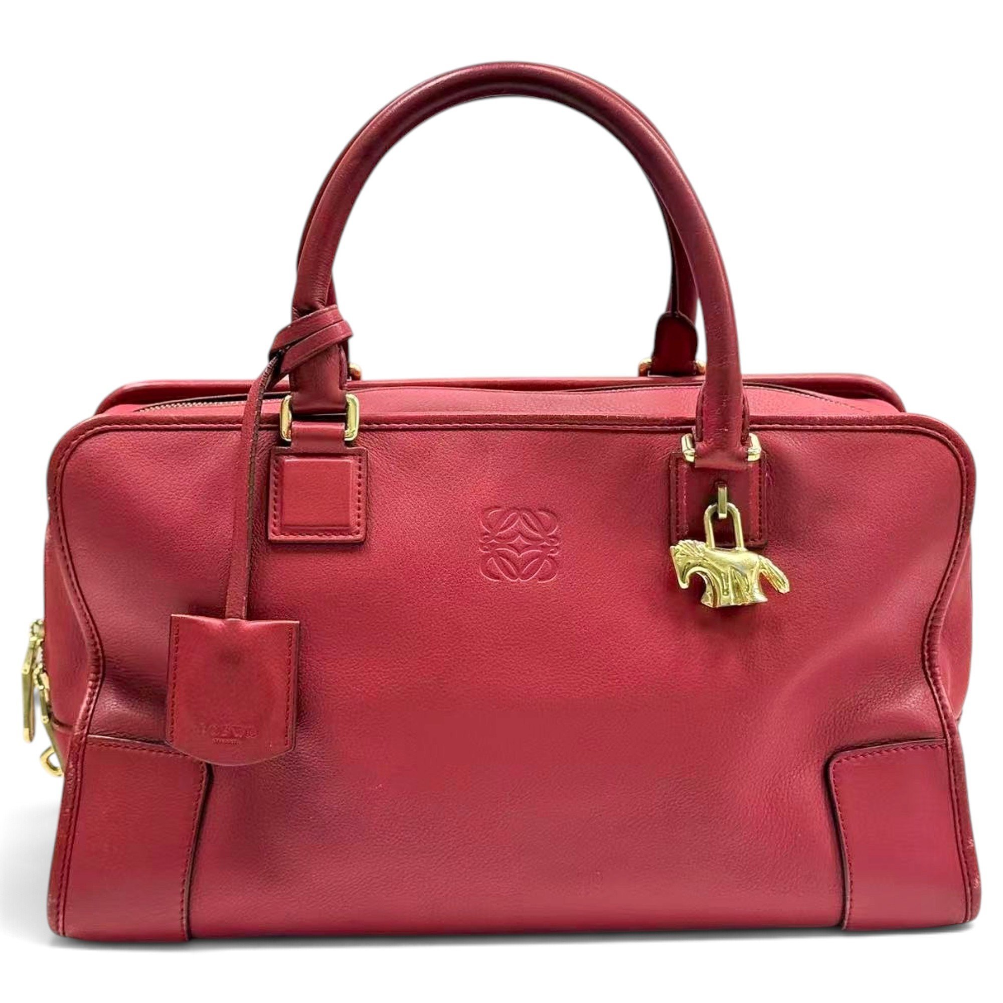 Amazona leather handbag