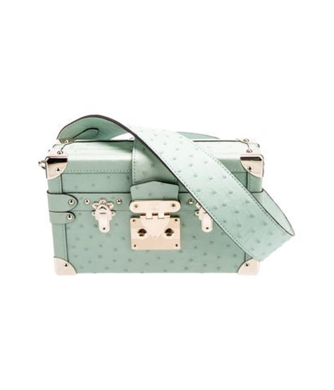 Louis Vuitton Vuitton Ostrich Petite Malle 2025