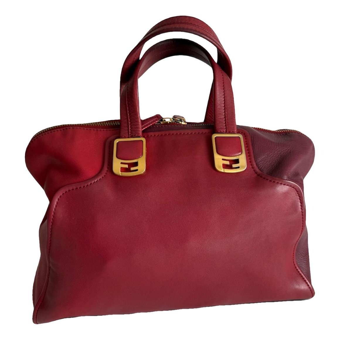 Chameleon leather handbag