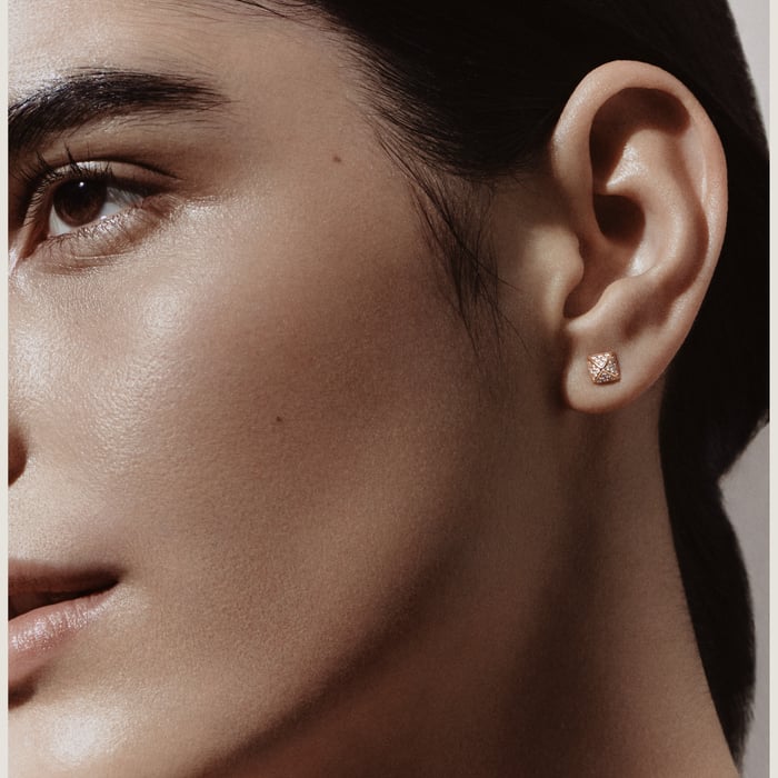 Sans Coloris Hermès Clou d'H Earrings