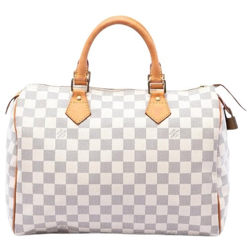 Louis Vuitton Speedy cloth bag