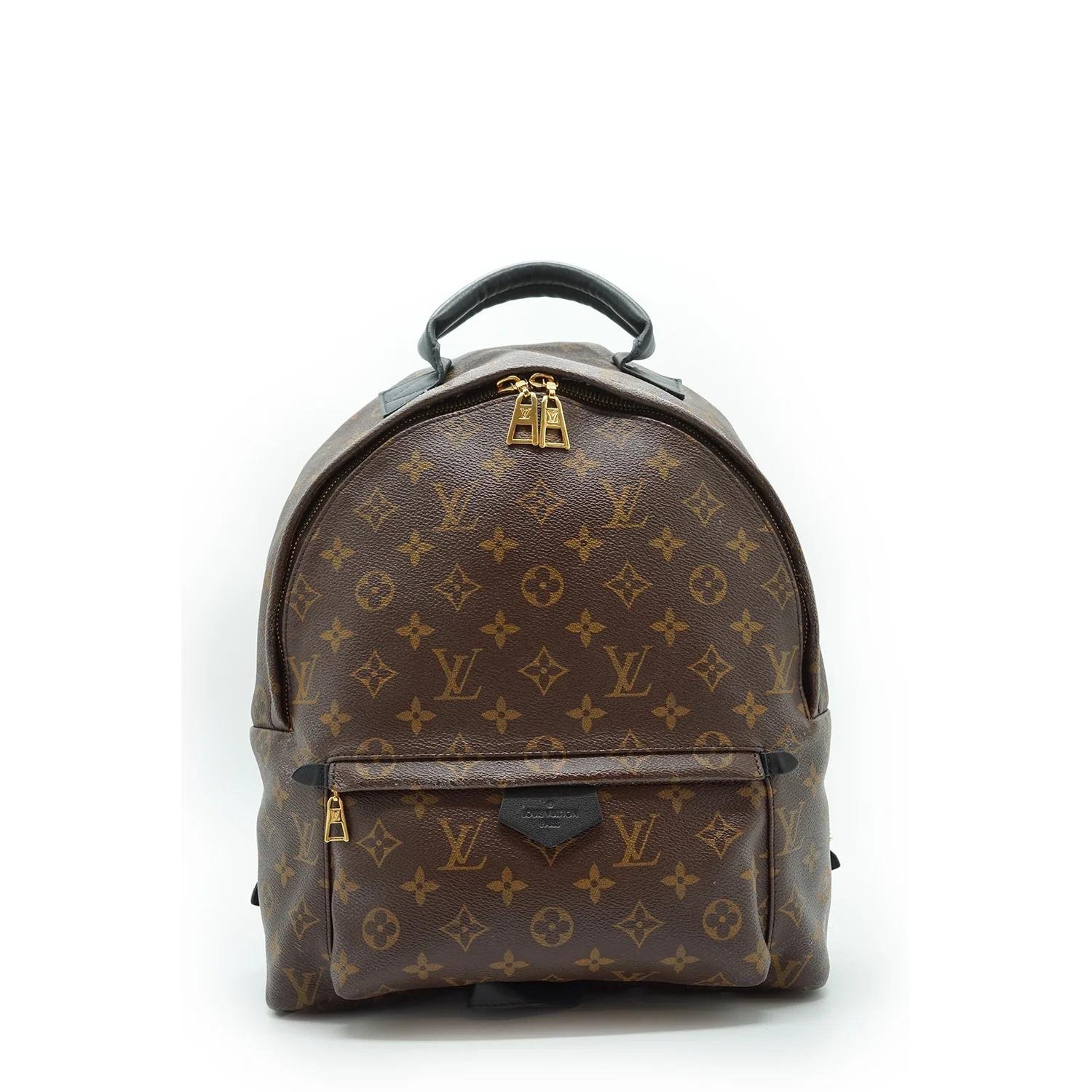 Louis Vuitton Palm Springs leather backpack