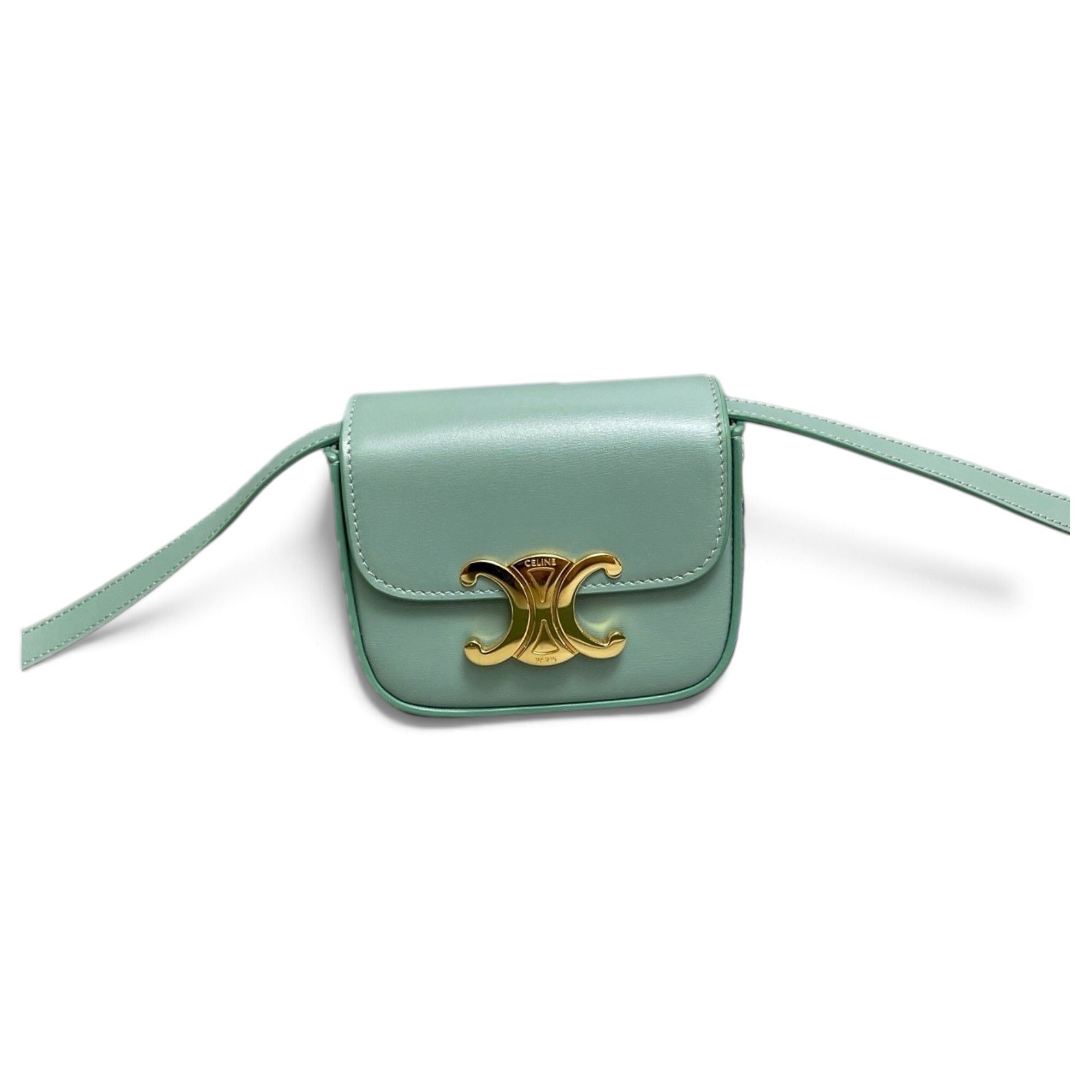 Triomphe leather handbag