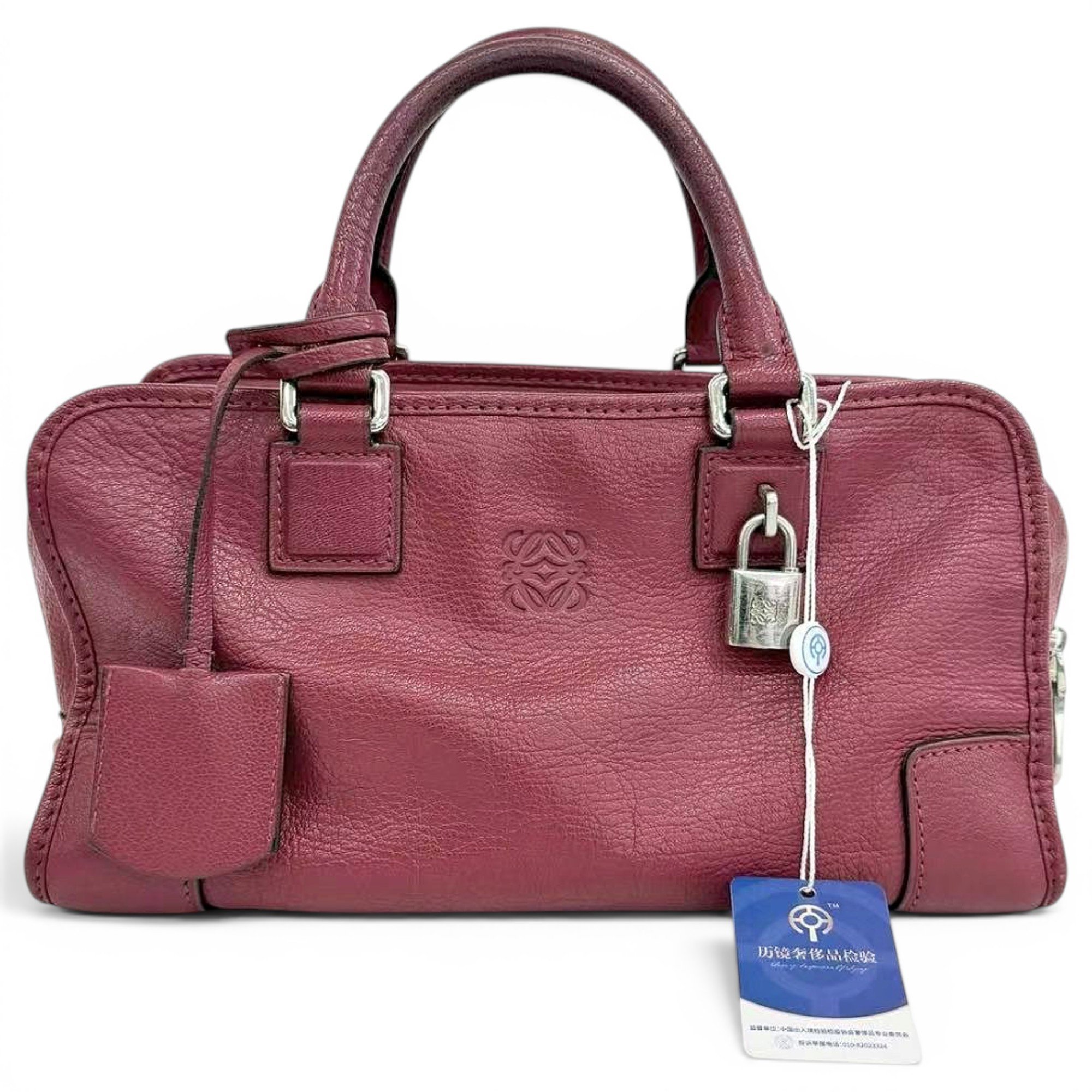 Amazona leather handbag