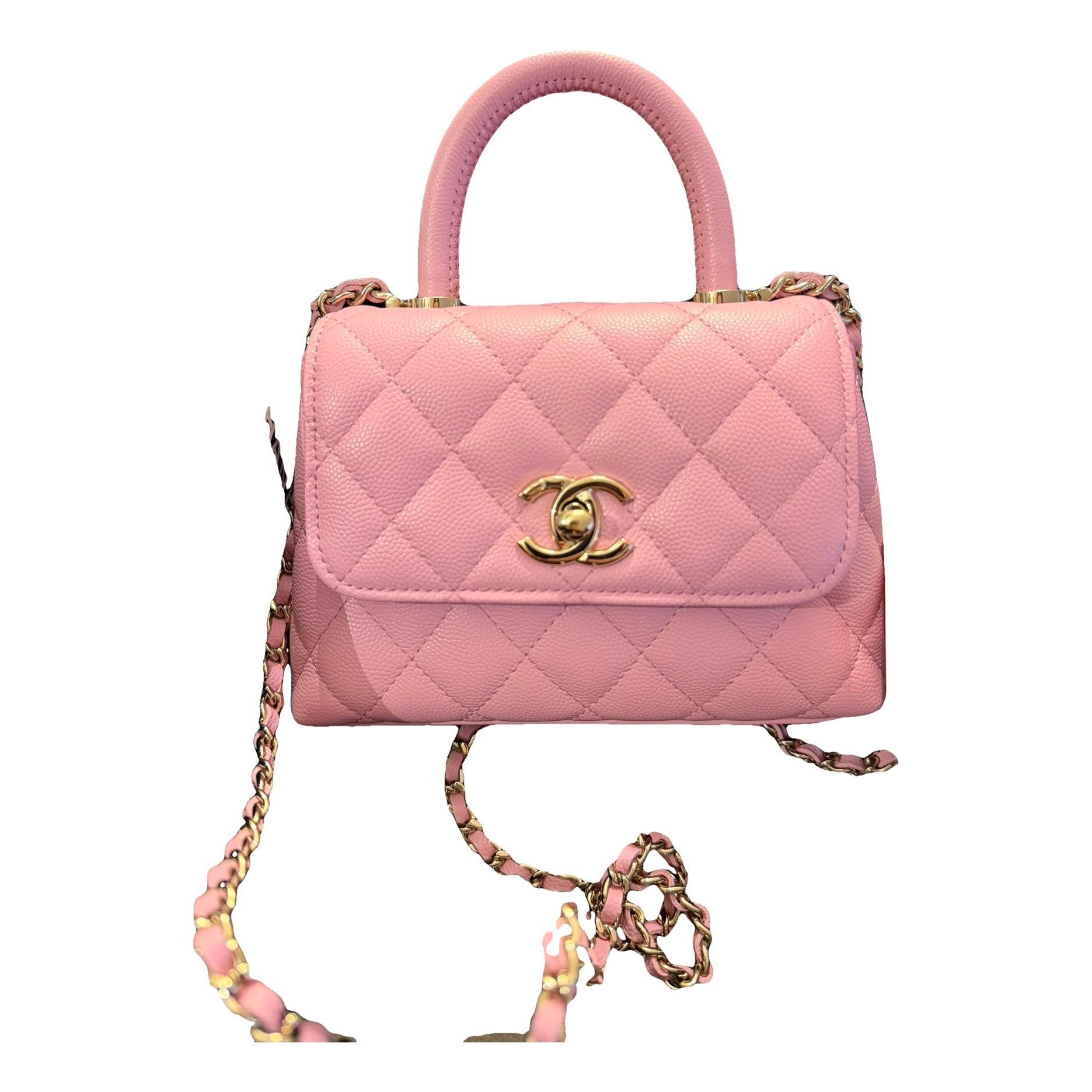 Coco Handle leather handbag